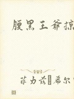 腹黑王爷掠邪妃