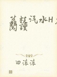 荔枝汽水H免费阅读