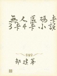 无人区码卡二卡3卡4卡小说