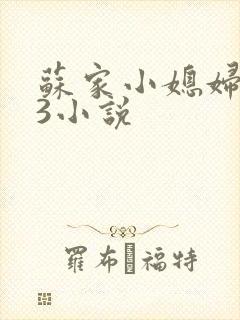 苏家小媳妇1V3小说