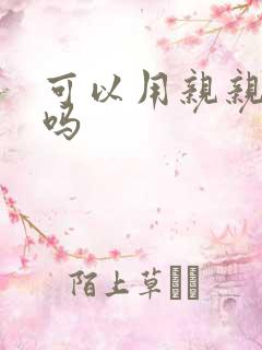 可以用亲亲赊账吗