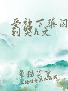 受被下药囚禁脔到哭h文