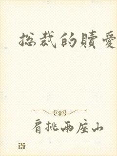 总裁的赎爱宝贝