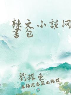 辣文小说网第二书包