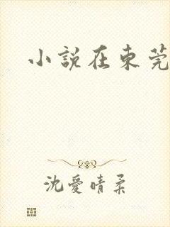 小说在东莞