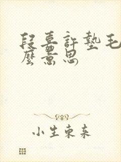 段嘉许垫毛巾什么意思