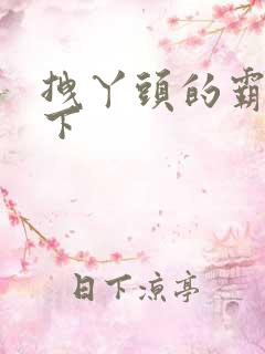 拽丫头的霸道殿下