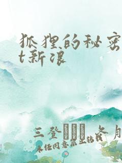 狐狸的秘密txt新浪