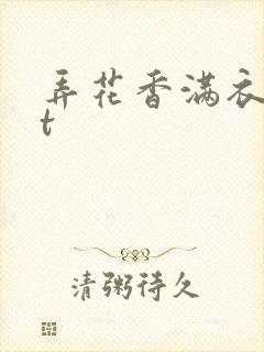 弄花香满衣txt