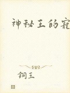 神秘王的宠姬