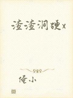 渣渣洞硬x