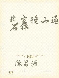 我家后山通仙界石锦