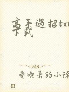 高手过招txt下载