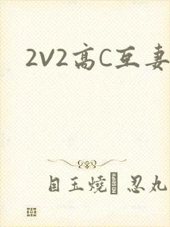 2V2高C互妻