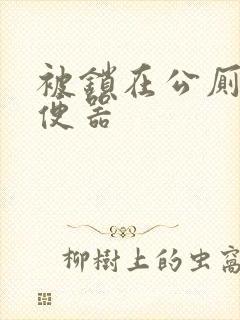 被锁在公厕当坐便器