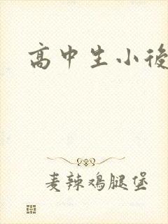 高中生小后妈