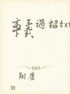 高手过招txt下载