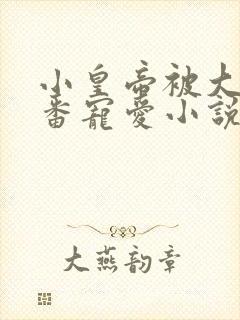 小皇帝被大臣轮番宠爱小说