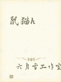 鼠猫h
