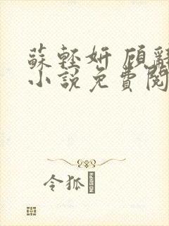 苏轻妍 顾辞笙小说免费阅读