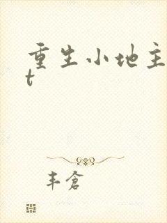 重生小地主txt