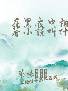 在黑夜中相拥原著小说叫什么