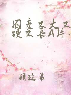 国产又大又粗又硬又长A片小说