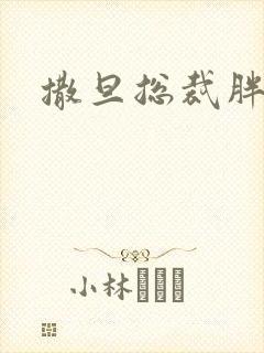 撒旦总裁胖前妻