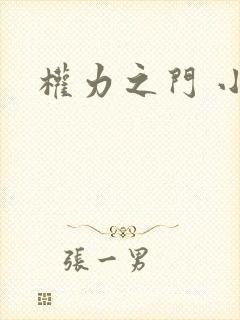 权力之门 小说