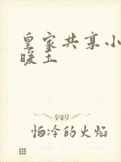 皇家共享小公主暖玉