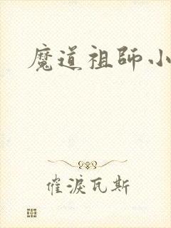 魔道祖师小说