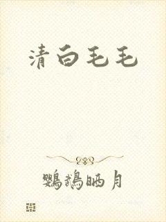 清白毛毛