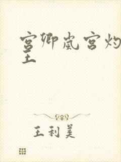 宫卿岚宫灼摄政王