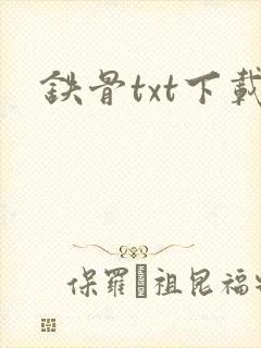 铁骨txt下载