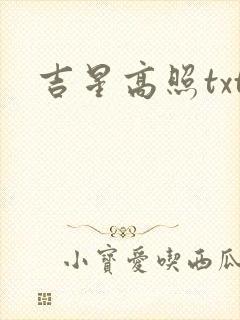 吉星高照txt