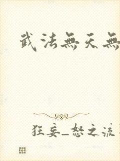 武法无天无弹窗