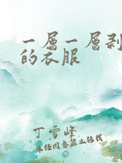 一层一层剥开你的衣服