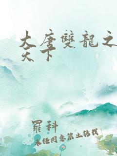 大唐双龙之无敌天下