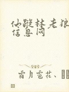 仙踪林老狼贰佰信息网