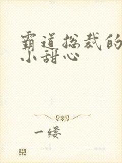 霸道总裁的宠爱小甜心