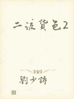 二流货色2