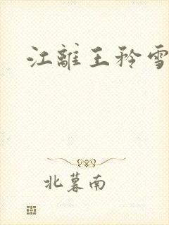 江离王矜雪小说