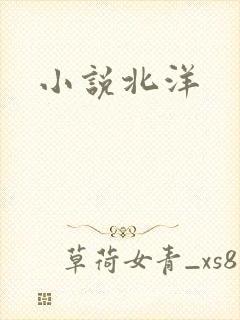 小说北洋