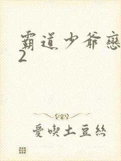 霸道少爷恋上我2