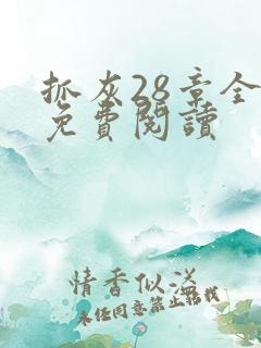 抓灰28章全部免费阅读