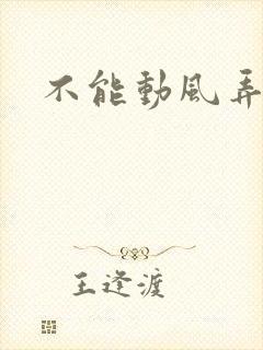 不能动风弄