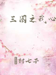 三国之我心狂想