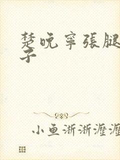 楚晚宁张腿放棋子