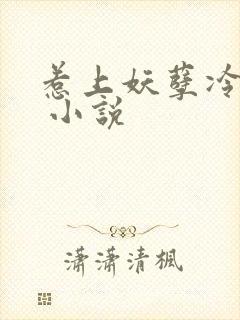 惹上妖孽冷殿下 小说