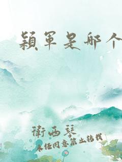 颖军是哪个军阀